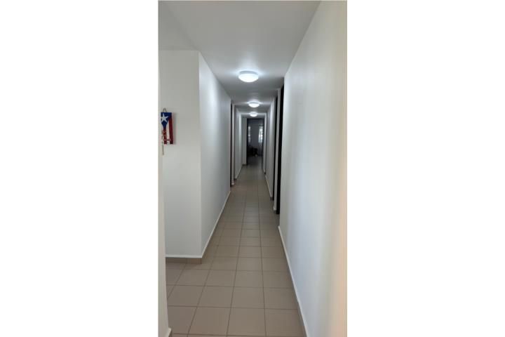 Xwhx+2cj Lajas 00667 PR