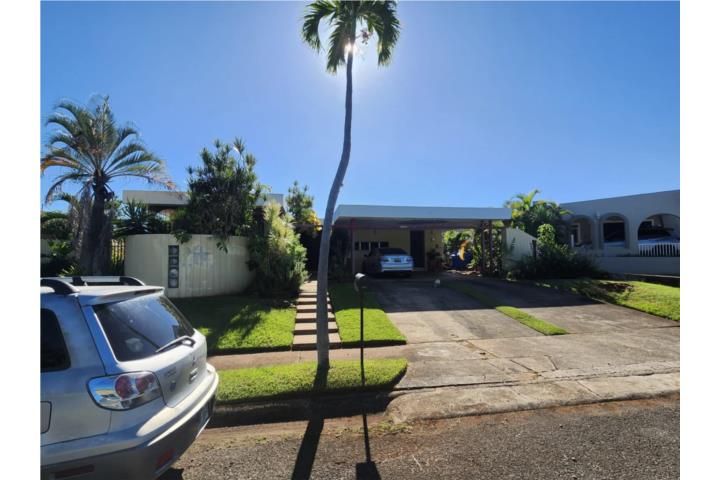 #985 Pr-349 Mayaguez 00680 PR