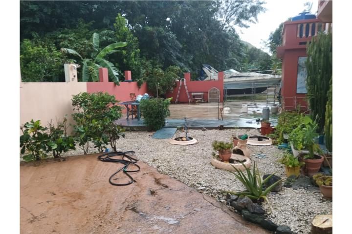Susúa Alta Yauco 00698 PR