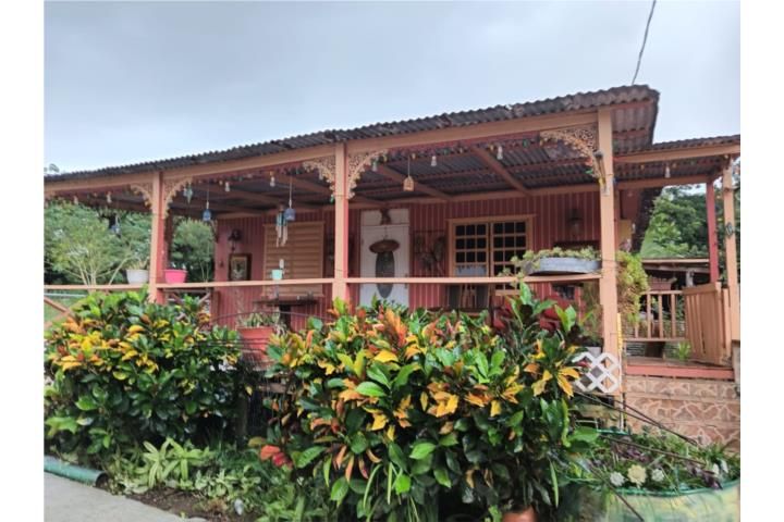Susúa Alta Yauco 00698 PR