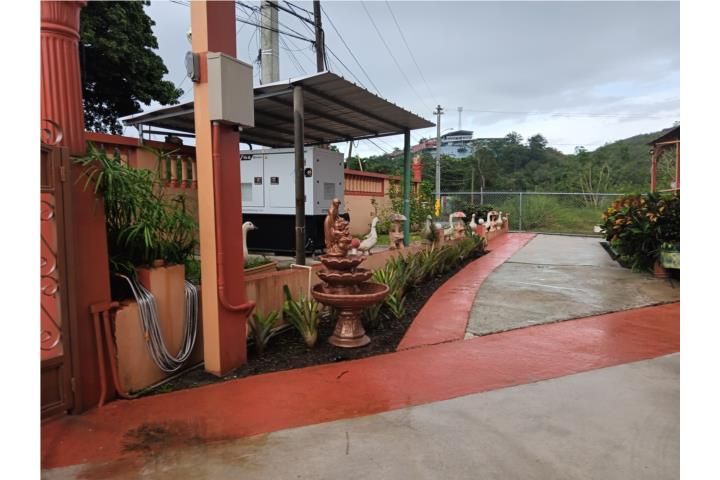 Susúa Alta Yauco 00698 PR