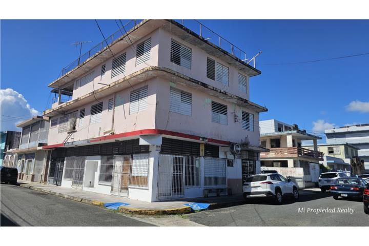 Canóvanas Canovanas 00729 PR
