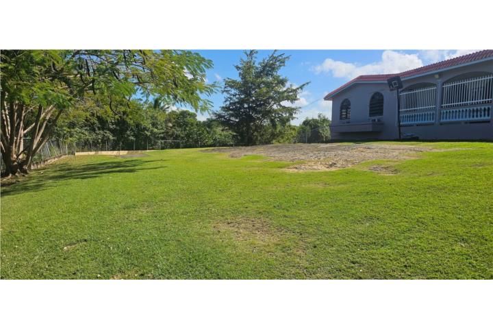 Camaceyes Aguadilla 00603 PR