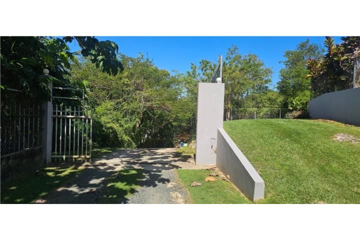 Camaceyes Aguadilla 00603 PR