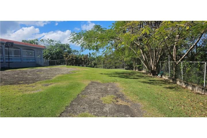 Camaceyes Aguadilla 00603 PR