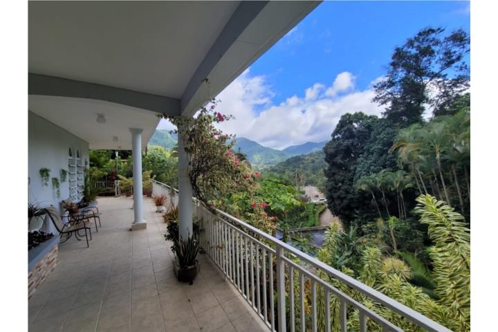 Coabey Jayuya 00664 PR