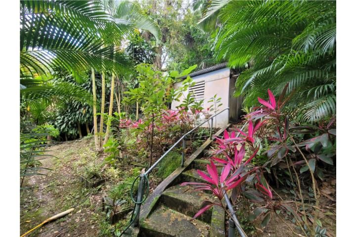 Coabey Jayuya 00664 PR