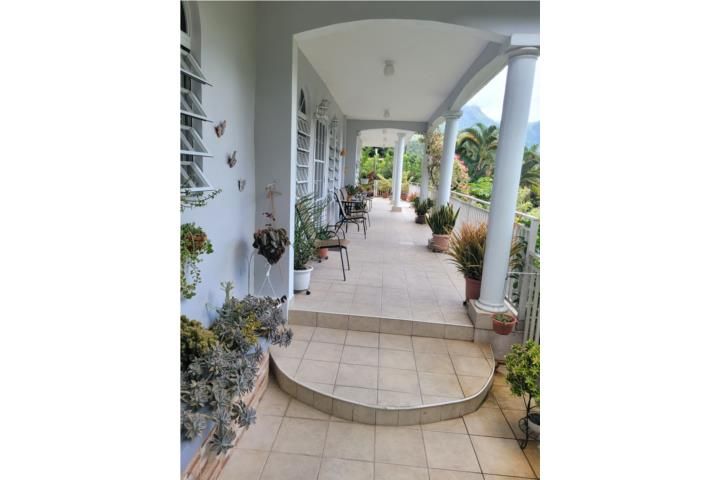 Coabey Jayuya 00664 PR