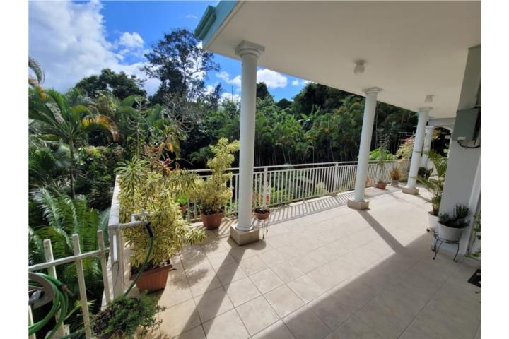 Coabey Jayuya 00664 PR