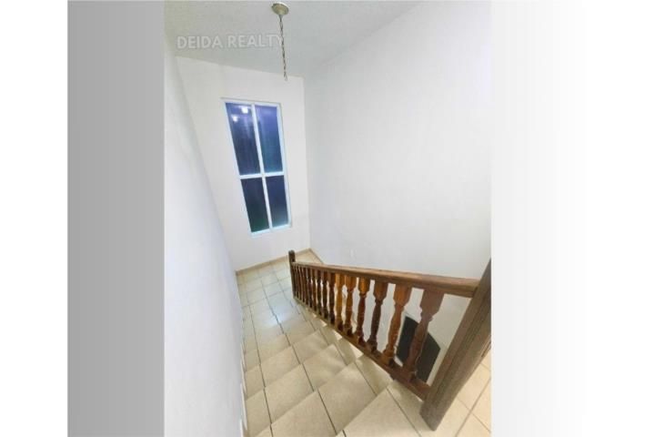 Membrillo Camuy 00627 PR