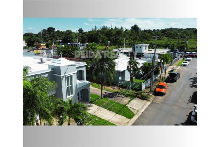 Membrillo Camuy 00627 PR