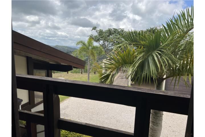 Pr-715 Cayey 00736 PR