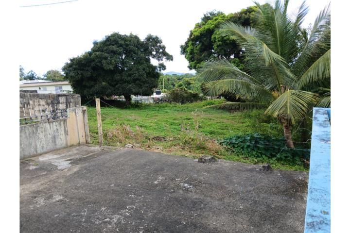La Fermina Las Piedras 00771 PR