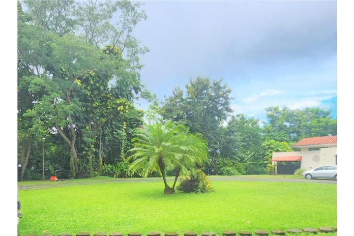 Torrimar Guaynabo 00966 PR
