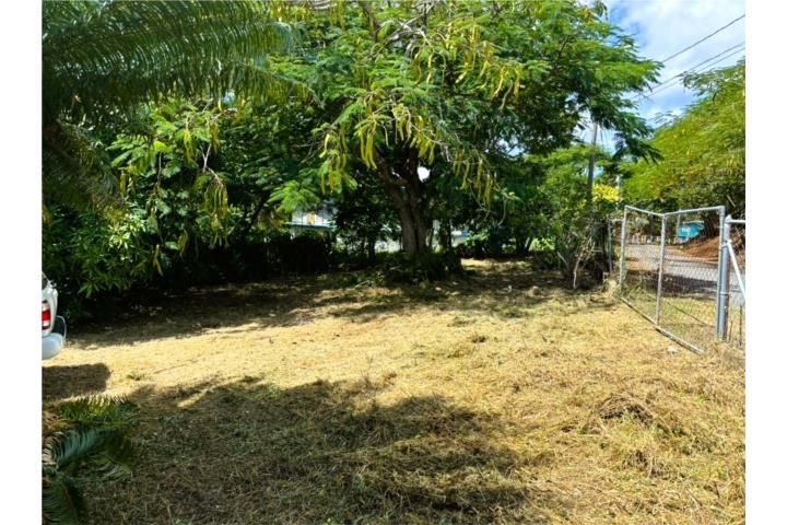4hwc+9h6 Vieques 00765 PR