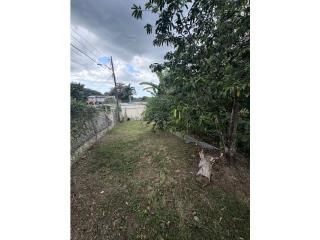 Malezas Mayaguez 00680 PR