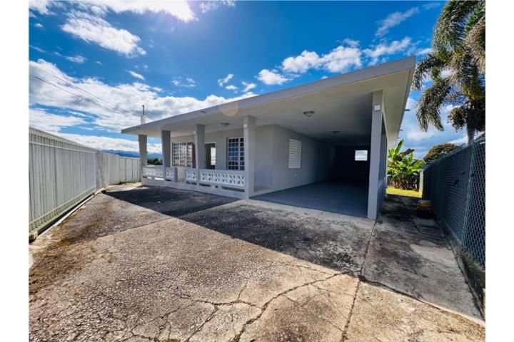 Franquez Morovis 00687 PR