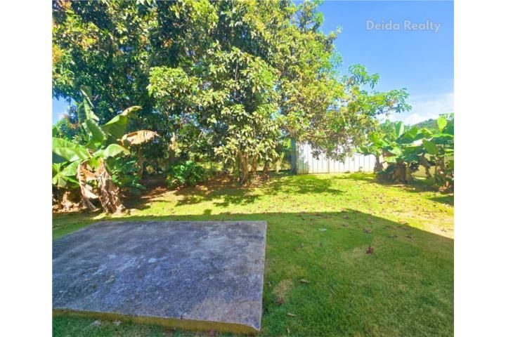 Cocos Quebradillas 00678 PR