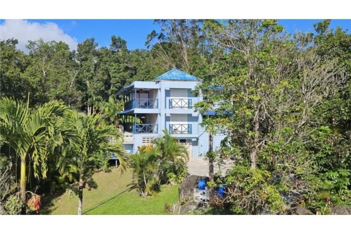 4wvf+cf Cayey 00736 PR
