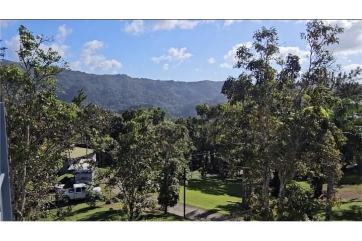 4wvf+cf Cayey 00736 PR