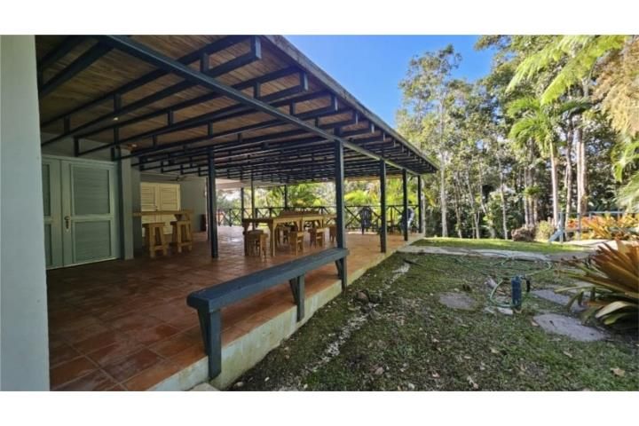 4wvf+cf Cayey 00736 PR