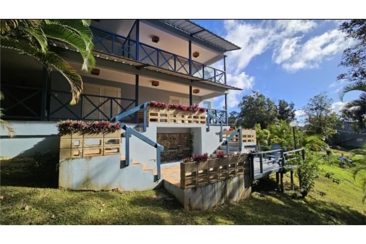 4wvf+cf Cayey 00736 PR