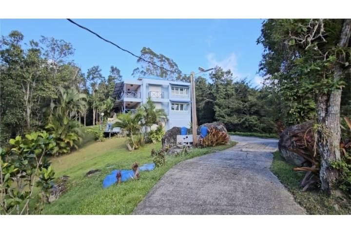 4wvf+cf Cayey 00736 PR