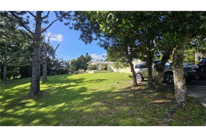 4wvf+cf Cayey 00736 PR