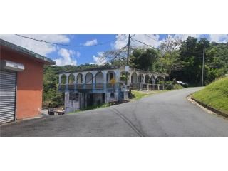 Toíta Cayey 00736 PR