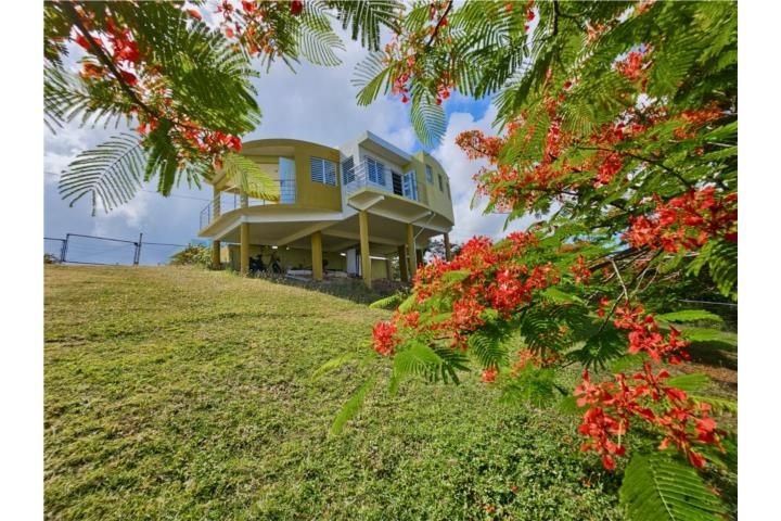 4hwc+9h6 Vieques 00765 PR