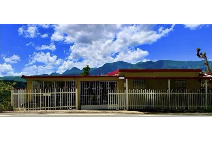 Cam. Canalizo Jayuya 00664 PR