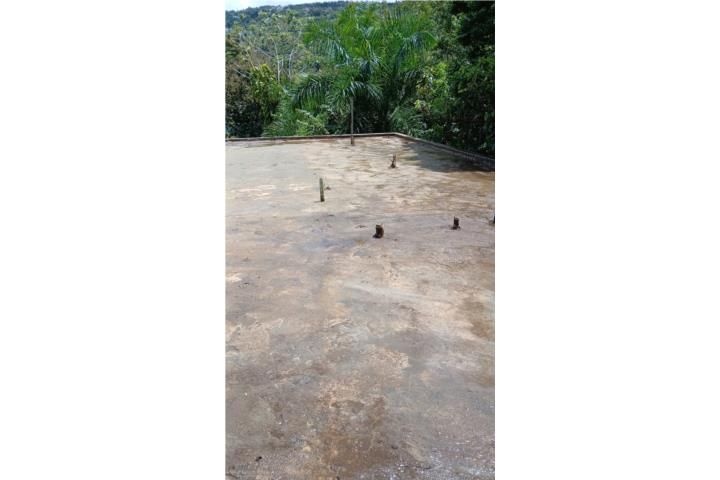 Hato Puerco Canovanas 00729 PR