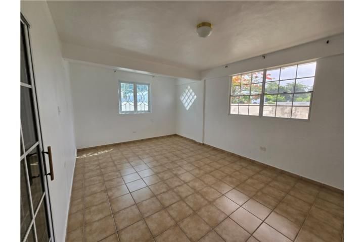 Doraville Dorado 00646 PR