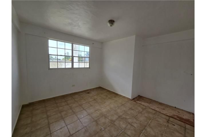 Doraville Dorado 00646 PR