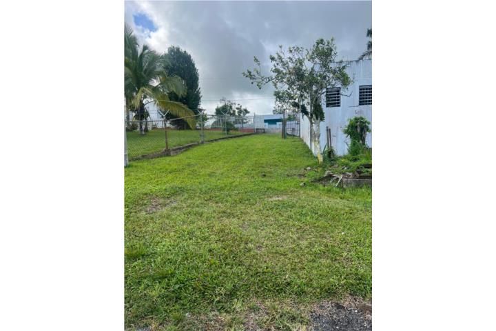 Tejas Yabucoa 00767 PR