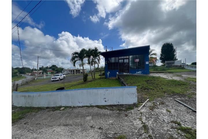 Tejas Yabucoa 00767 PR