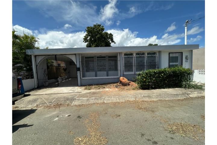 Lluveras Yauco 00637 PR