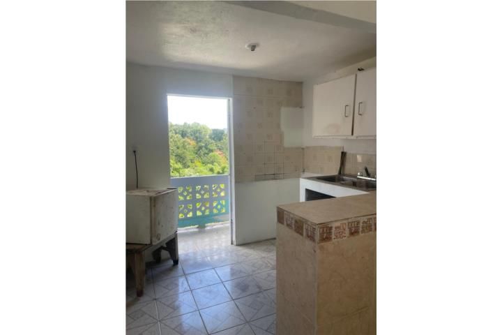 Carr. La Aldea Ciales 00638 PR