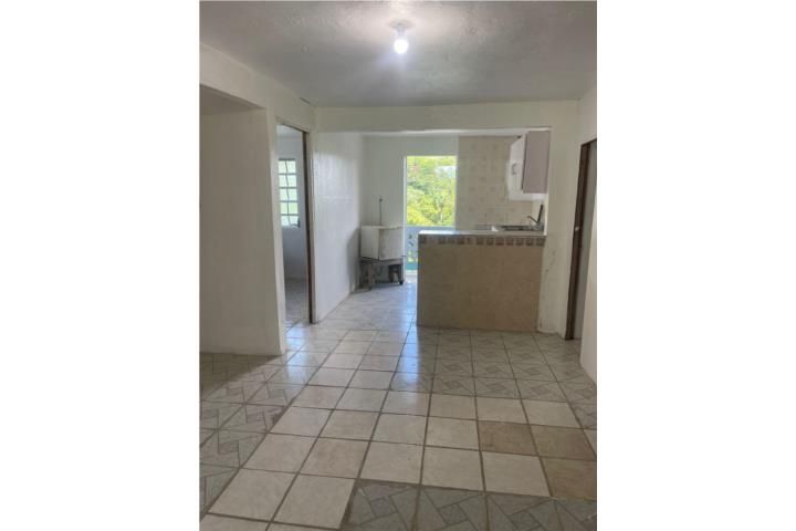 Carr. La Aldea Ciales 00638 PR