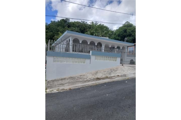 Caguas Caguas 00725 PR