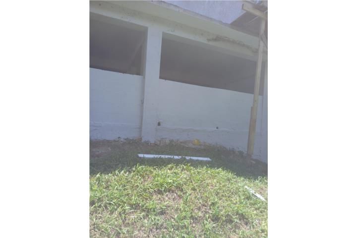 Caguas Caguas 00725 PR