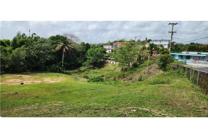 Juncos Juncos 00777 PR