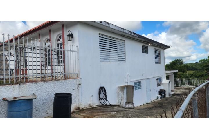 Juncos Juncos 00777 PR