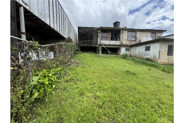 Mameyes Abajo Utuado 00650 PR