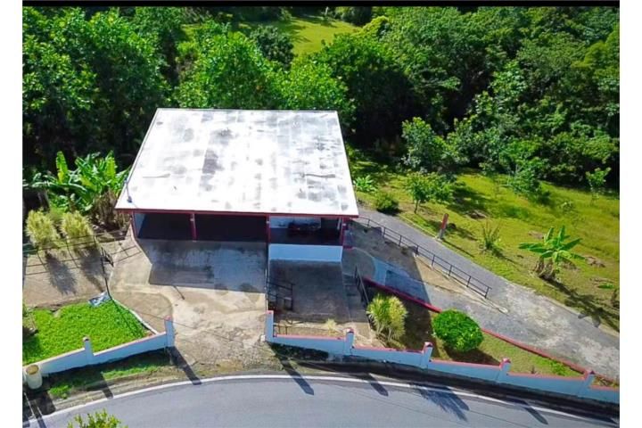 Roncador Utuado 00641 PR