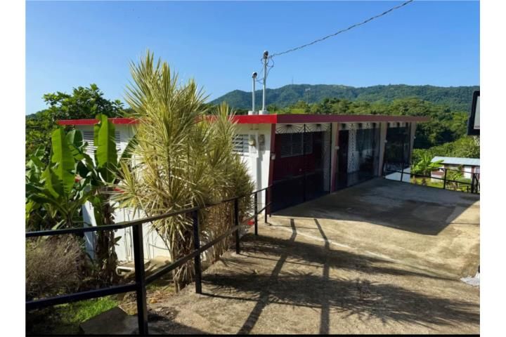 Roncador Utuado 00641 PR