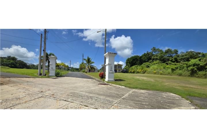 Voladoras Moca 00676 PR
