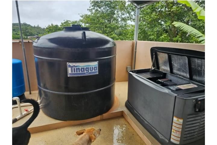Helechal Barranquitas 00794 PR