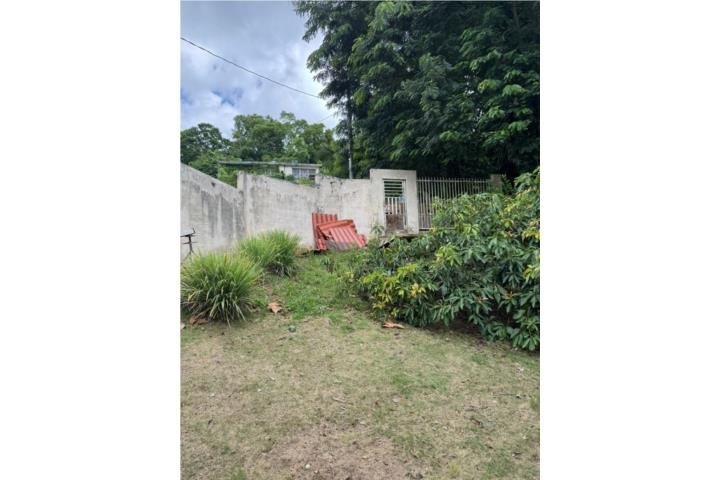 Campo Rico Canovanas 00729 PR