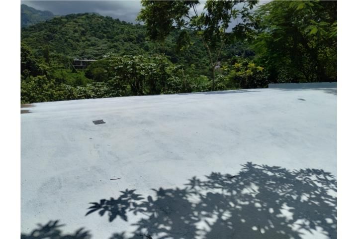 Las Palmas, Utuado — foto 10